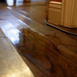 Water Damage 1
