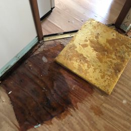 Water Damage 11