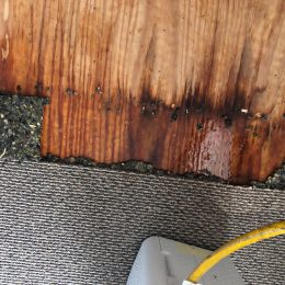 Water Damage 12
