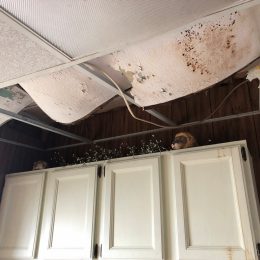 Water Damage 15