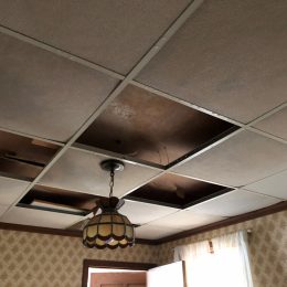 Water Damage 16