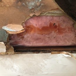 Water Damage 20