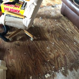 Water Damage 22