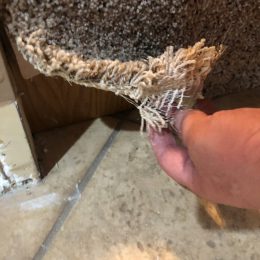 Water Damage 26