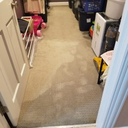 Water Damage 27