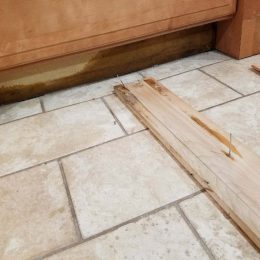 Water Damage 33