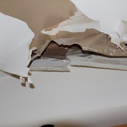 Water Damage 36
