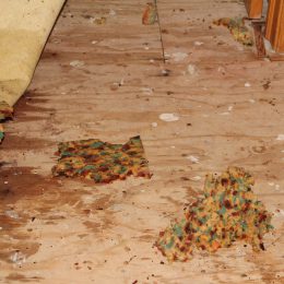 Water Damage 42