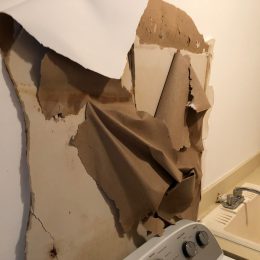Water Damage 47