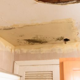 Water Damage 5