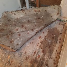 Water Damage 50