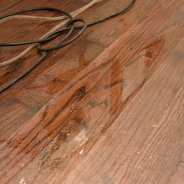 Water Damage 52