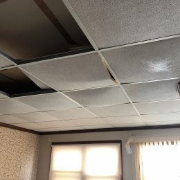 Water Damage 8