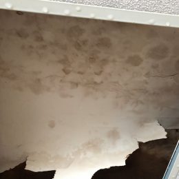 Water Damage 9